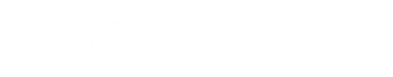 4Dev